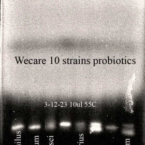 Probiotics strains identification