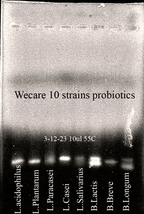 Probiotics strains identification