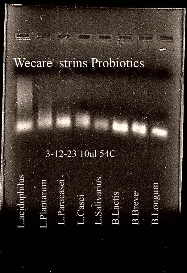20230313-112238- wecare 10 strains 54C